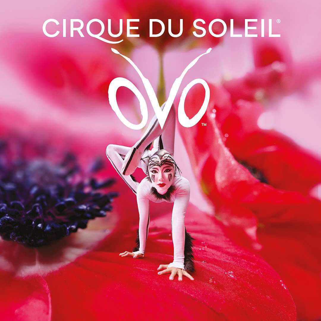 OVO - Cirque du Soleil