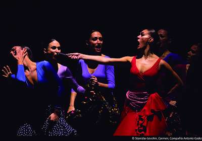 Carmen, un ballet flamenco à ne pas manquer