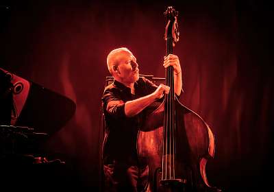 Avishai Cohen présente son dernier album « Brightlight »