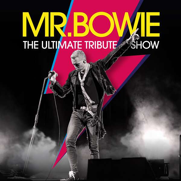 Mr. Bowie The Ultimate Tribute Show