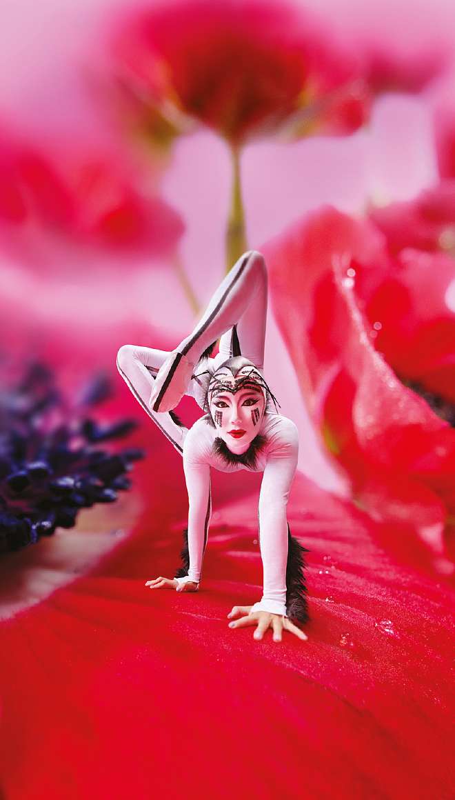 OVO - Cirque du Soleil